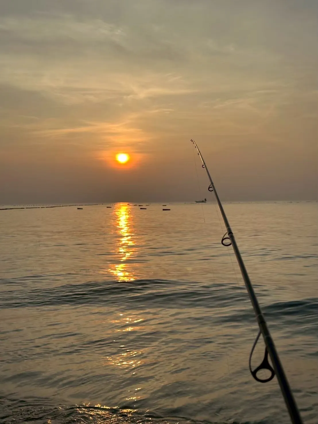 夕日が沈む海に向かって構えた釣り竿のシルエット
